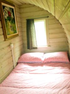 基尔肯尼Carrigeen Glamping的一个小房间的一个床位,设有窗户