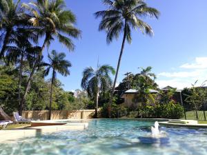 约克斯诺波凯恩斯海洋假日公寓别墅酒店的一座棕榈树环绕的游泳池