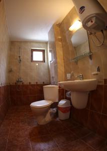 内塞伯尔Aurora Guest House的一间带卫生间和水槽的浴室