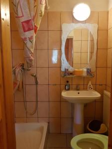 布朗步瑞皮伊万娜旅馆的浴室配有盥洗盆和带镜子的淋浴
