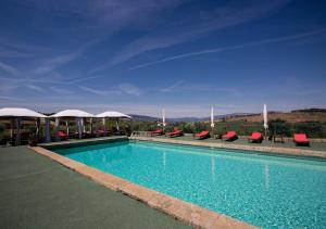 阿马马尔Quinta da Barroca Douro Valley的一个带红色椅子和遮阳伞的游泳池