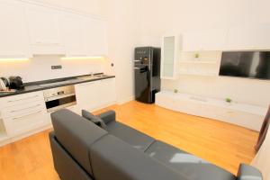布拉格Luxury apartments Krocínova的带沙发和黑冰箱的客厅