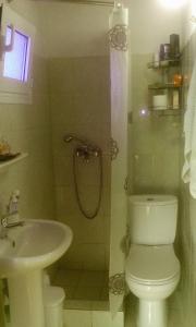 斯卡拉索提罗斯Anna Georgiou的浴室配有卫生间、盥洗盆和淋浴。