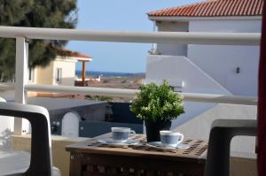 罗萨里奥港Apartamento Playa Blanca Holiday的阳台上的桌子上放着两杯和盆栽植物