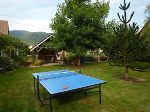 Husseren-WesserlingGîte La Charmaie的院子里有树的乒乓球桌