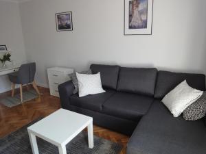 琴斯托霍瓦Apartament Jasny的客厅配有黑色沙发和桌子