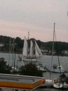 格里姆斯塔Holsthuset Losji的一群在水中装满白色帆的船