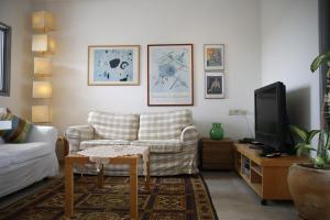 荷兹利亚Herzelia Rooftop Special 2 Room Apartment的带沙发和电视的客厅