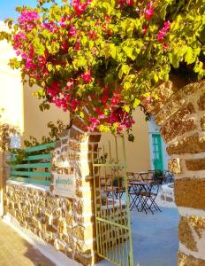 罗德镇Galanopetra RHODES GREECE的石墙,花粉色,门