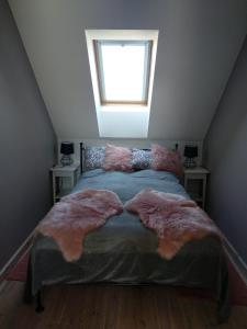 奥尔什丁阿帕特公寓的一间卧室配有一张带毛绒枕头的床和窗户。