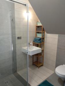 奥尔什丁阿帕特公寓的一间带水槽和淋浴的浴室