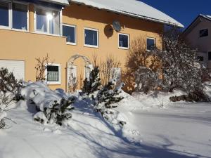 艾森巴哈Ferienwohnung Sonnenblick的前面有雪的房子