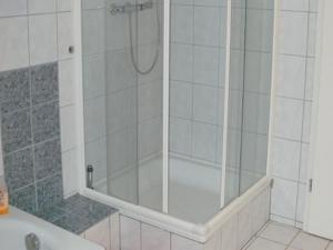 艾森巴哈Ferienwohnung Sonnenblick的浴室里设有玻璃门淋浴