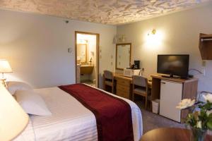 镭温泉镭园旅馆的酒店客房配有一张床和一张书桌及一台电视