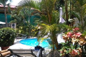 曼努埃尔安东尼奥Coyaba Tropical Elegant Adult Guesthouse的一个带棕榈树、椅子和遮阳伞的度假游泳池