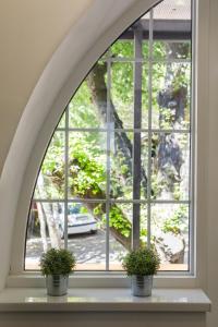 诺维萨德Arhiv Boutique House的窗台上两盆植物的拱形窗