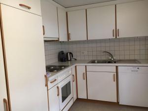 特里森贝格芬施特里森贝格公寓的厨房配有白色橱柜和水槽