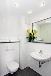 德赖艾希拉夫尔克公寓的一间带卫生间、水槽和镜子的浴室