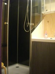 AlzenLes chalets d'Alzen的浴室里设有玻璃门淋浴