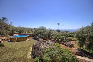 莫尔恰诺迪莱乌卡Villa La Pizzica的后院设有游泳池和石墙