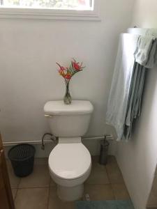 苏弗里耶尔cocoa pod studio的浴室设有白色的卫生间和花瓶
