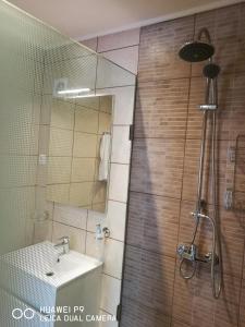 鲍洛通塞迈什Room4U Apartment的带淋浴和盥洗盆的浴室