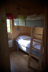 Sankt IbbNatursköna Gamlegård på Ön Ven的一间卧室设有两张双层床和梯子