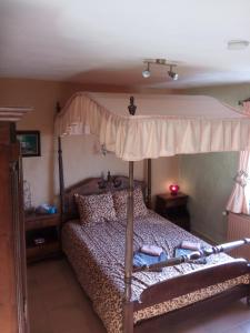 Koekelare泰尔卡斯泰涅住宿加早餐酒店的一间卧室配有一张带天蓬的床