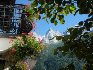 夏蒙尼-勃朗峰杜克劳施酒店的阳台享有山脉美景,种有鲜花。