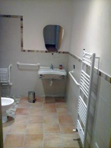 卡尔米尼亚诺弗里吉奥纳亚农家乐的一间带水槽和卫生间的浴室