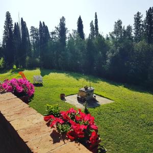 卡斯泰尔菲奥伦蒂诺Villa Niccoli的绿地中种有红色花的花园