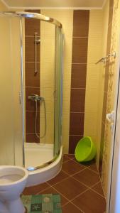 普里莫尔斯科Club Priz的浴室设有玻璃淋浴间和卫生间