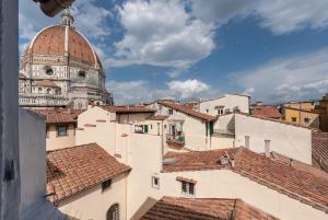 佛罗伦萨Santaelisabettafirenze1的从建筑屋顶上可欣赏到大教堂的景色