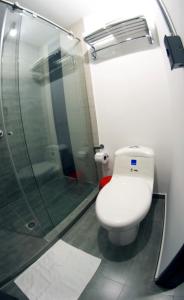 帕斯托Hotel RDOS的一间带卫生间和玻璃淋浴间的浴室