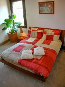 LastanosaLos Chicos de Lastanosa Hotel y Restaurante的一张配有红白毯子和枕头的大床