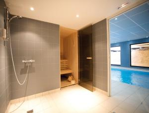 斯特拉斯堡斯特拉斯堡威尔逊拉格朗日公寓式酒店的带淋浴的浴室和游泳池
