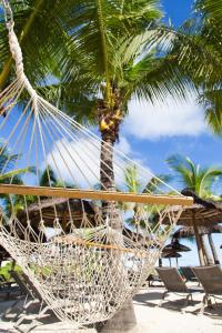 Calodyne瑞尔瓦态度酒店的棕榈树海滩上的吊床