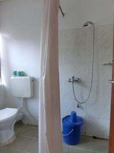 Matema BeachMatema Lake Shore Resort的带淋浴、卫生间和浴缸的浴室