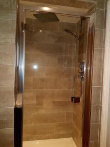 圣艾夫斯Primrose House的浴室里设有玻璃门淋浴