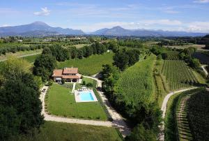 拉齐塞Villa Gasco With Pool的享有葡萄园内带游泳池的庄园的空中景致