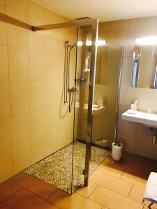 霍德班克克罗兹酒店的浴室里设有玻璃门淋浴
