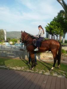Apidias LakosAriadnes Holiday Accommodation I的坐在棕色马匹上的一个女人