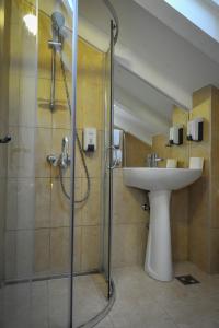 布拉索夫卡萨采佩什酒店的一间带水槽和淋浴的浴室