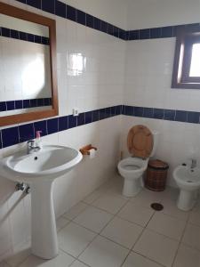 坎普-杜热雷什Abrigo da Geira House的一间带水槽和卫生间的浴室