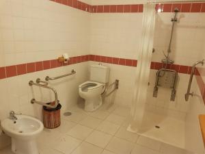 坎普-杜热雷什Abrigo da Geira House的一间带卫生间和水槽的浴室