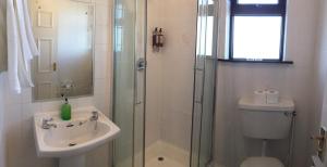 伊尼什莫尔岛泰菲茨旅馆的带淋浴、盥洗盆和卫生间的浴室