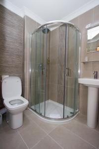 罗塞斯Hill Park Hotel的带淋浴、卫生间和盥洗盆的浴室