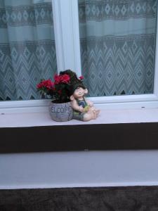 布拉索夫Mama Brasov的花盆旁的窗台上摆着娃娃