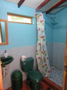 MéridaCaballito's Mar的浴室设有绿色卫生间和淋浴帘