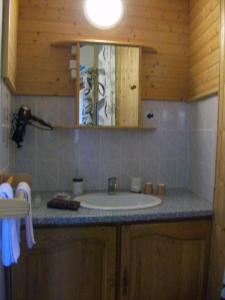 SergeacAuberge de Castel-Merle的浴室的柜台设有水槽和镜子